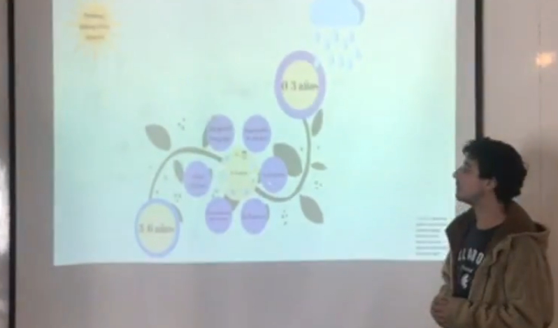 foto carrito de imagenes