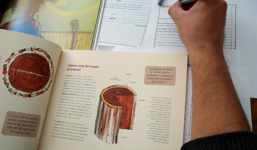 foto carrito de imagenes