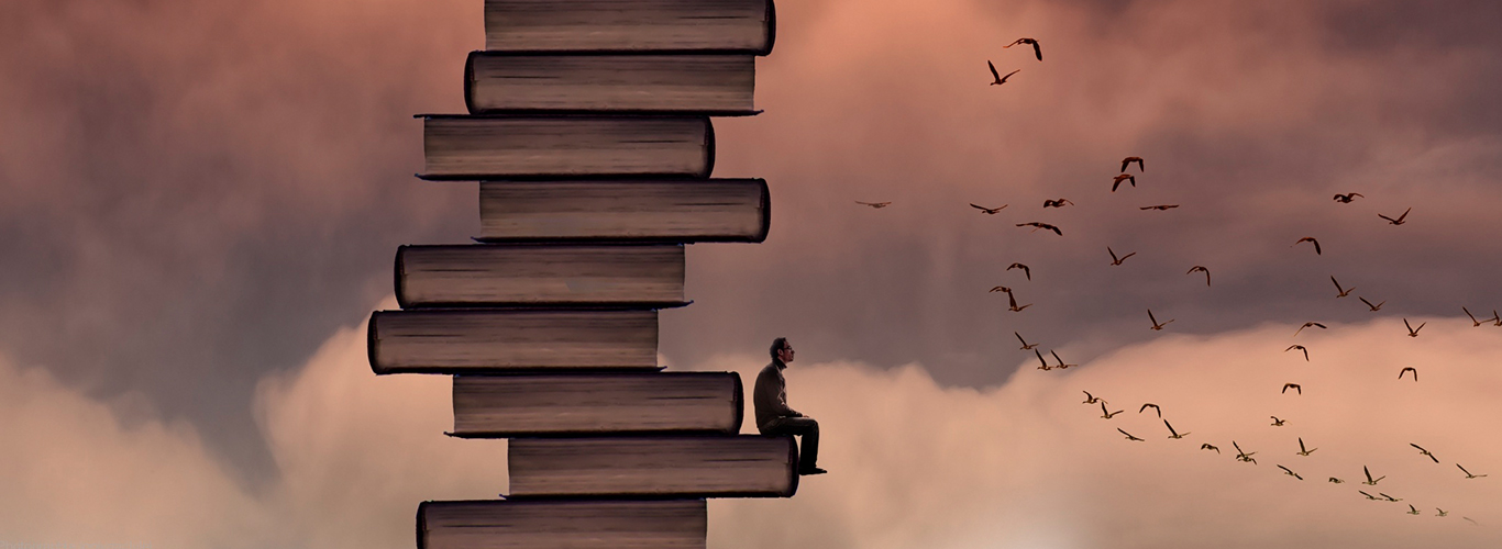 foto carrito de imagenes